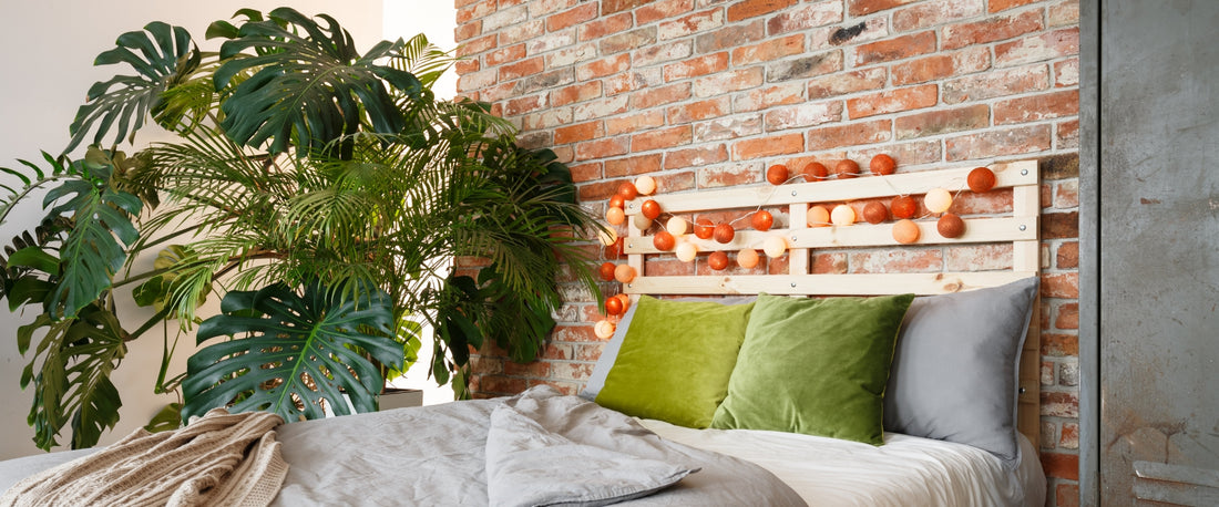 Grote kamerplanten voor een levendig interieur