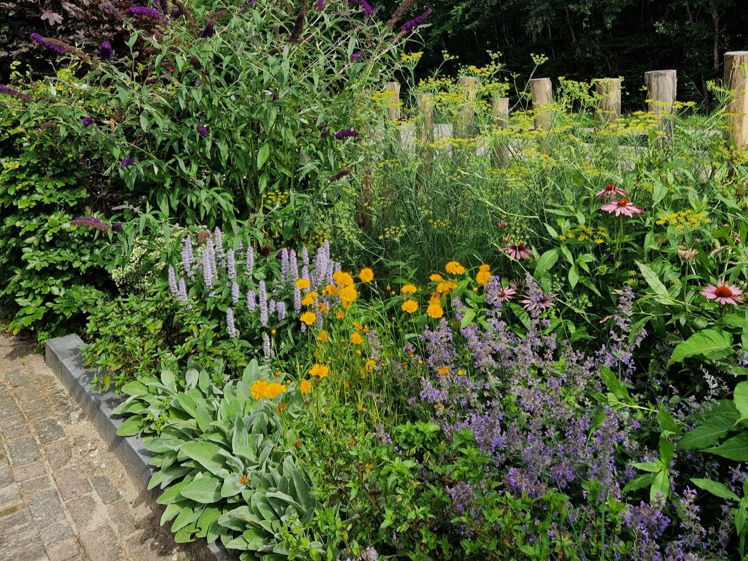 Het najaar is dé perfecte tijd om vaste planten in de grond te zetten