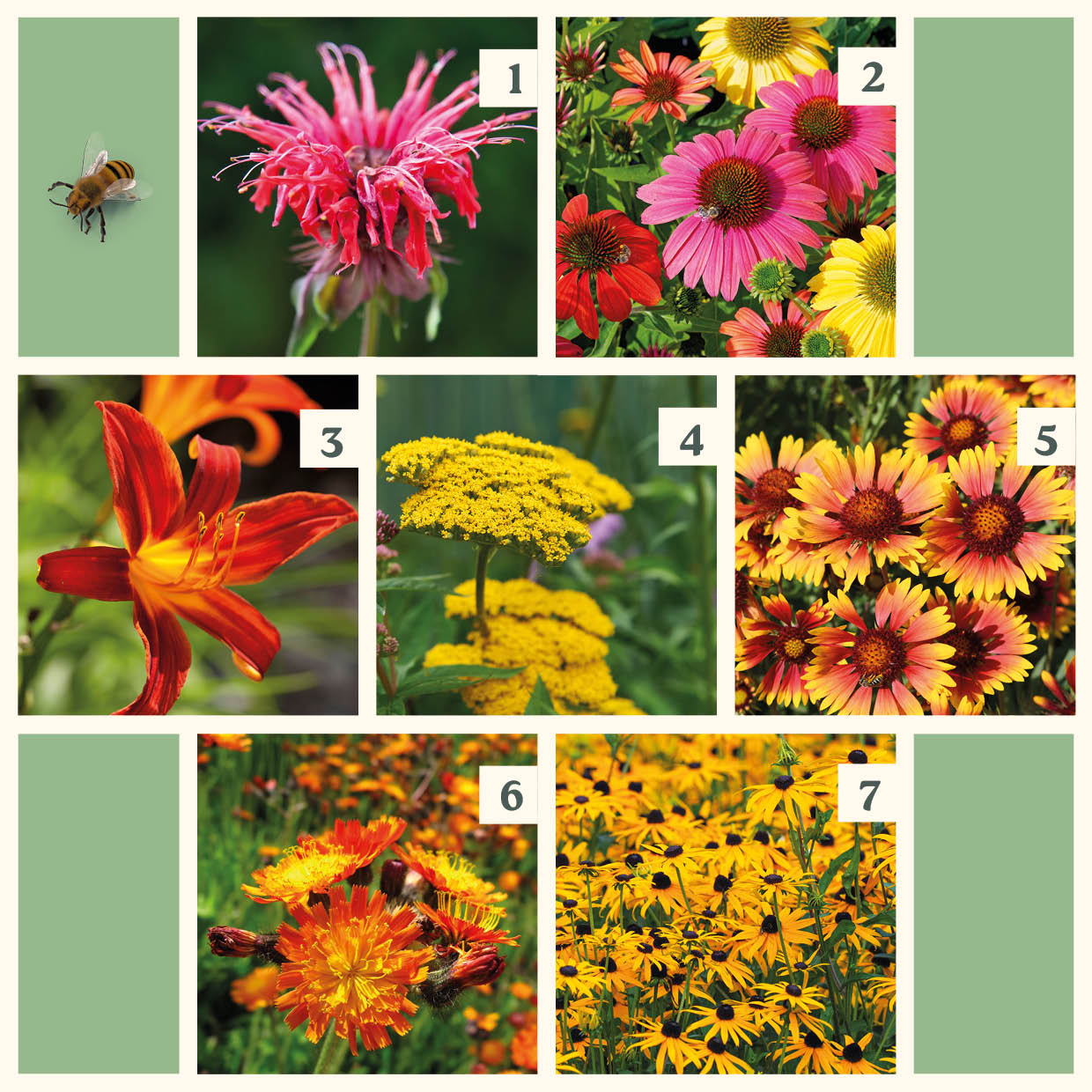 Easy Borderpakket | Happy-Hardcore | Vanaf 3 m2