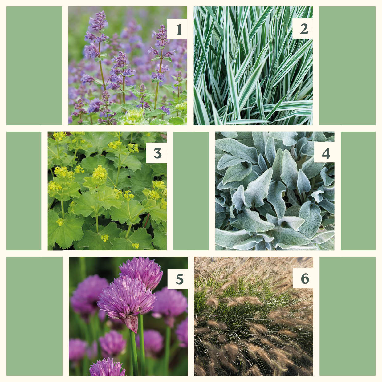 Easy Borderpakket | Country | Vanaf 3 m2