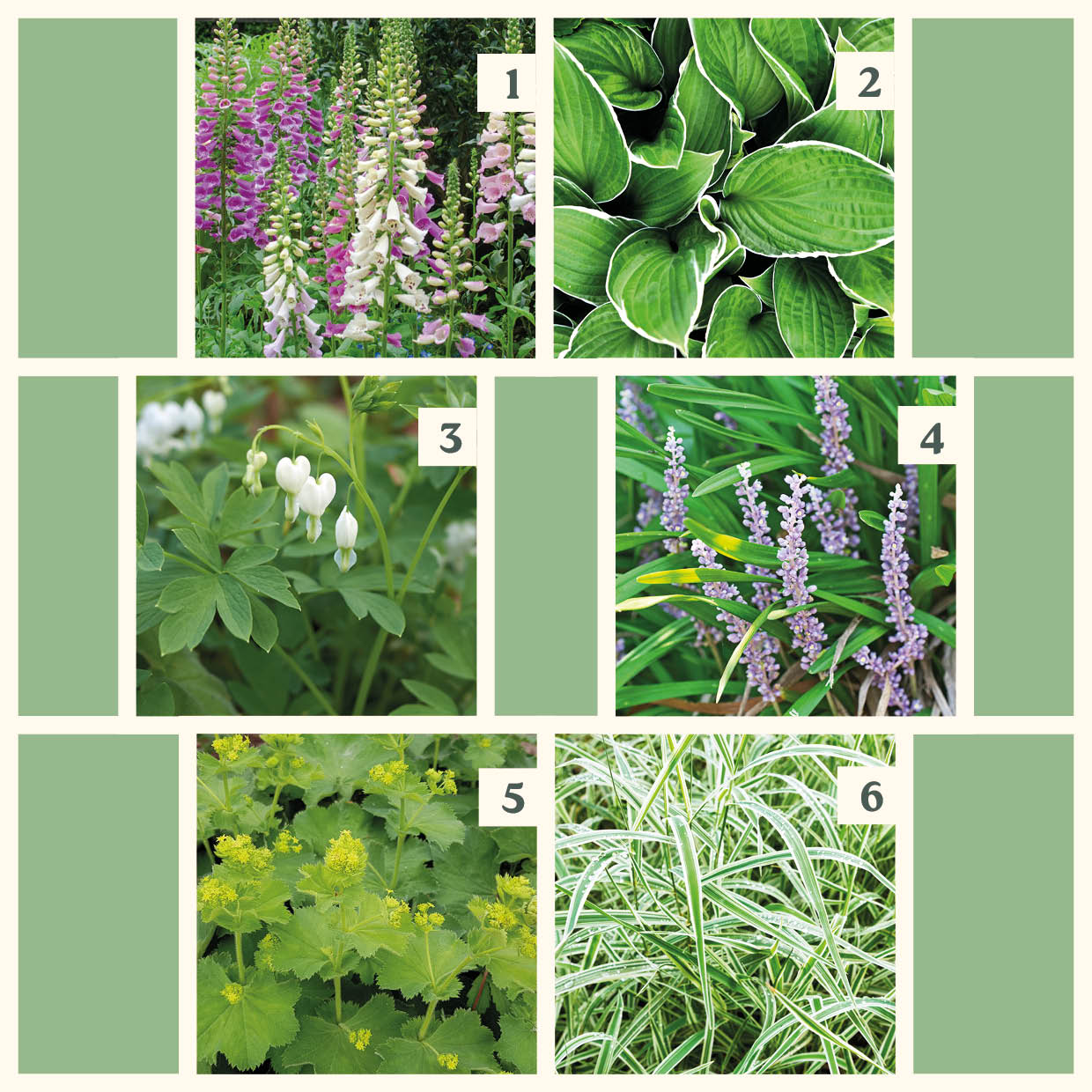 Easy Borderpakket | Lounge | Vanaf 3 m2