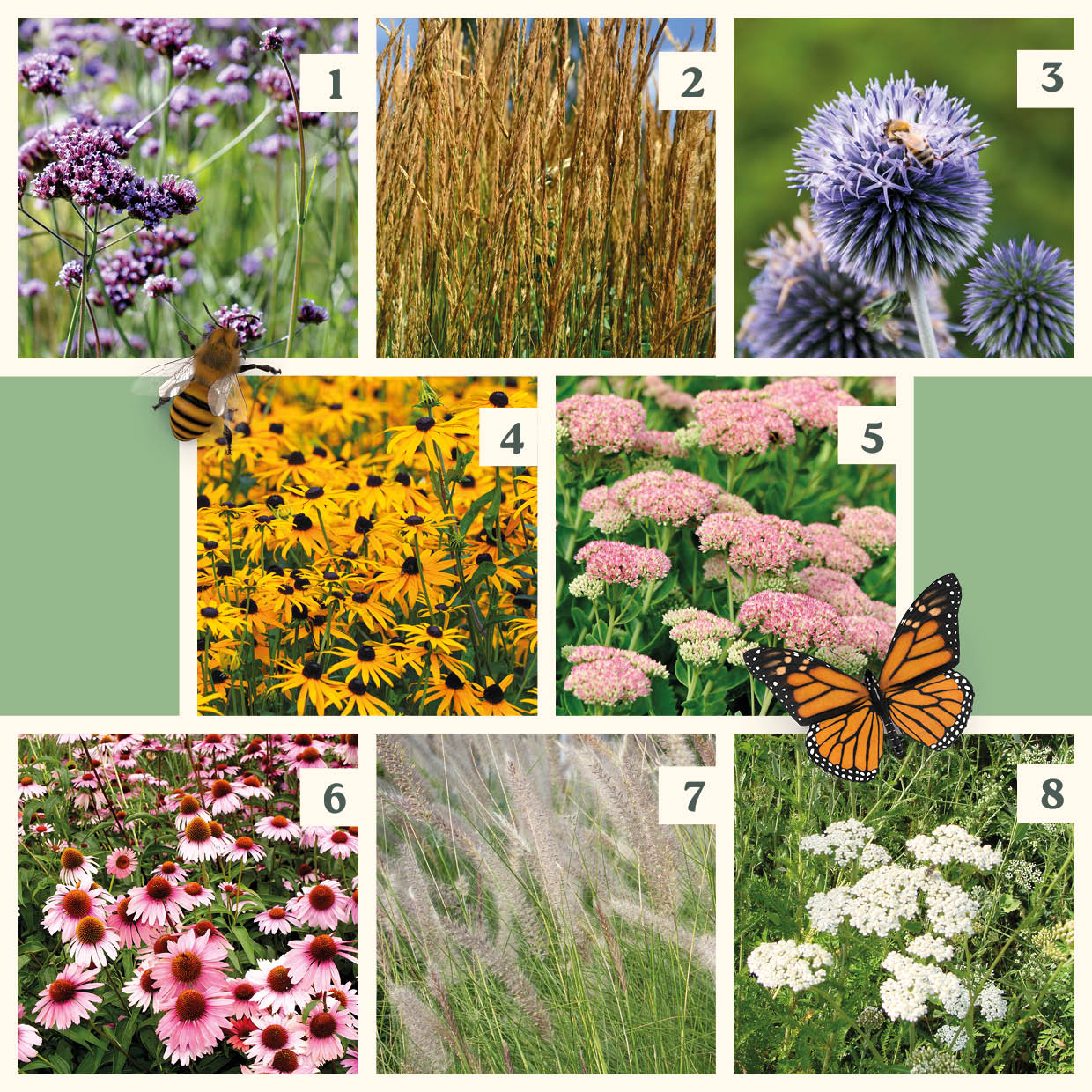 Easy Borderpakket | Rock 'n Roll | Vanaf 3 m2