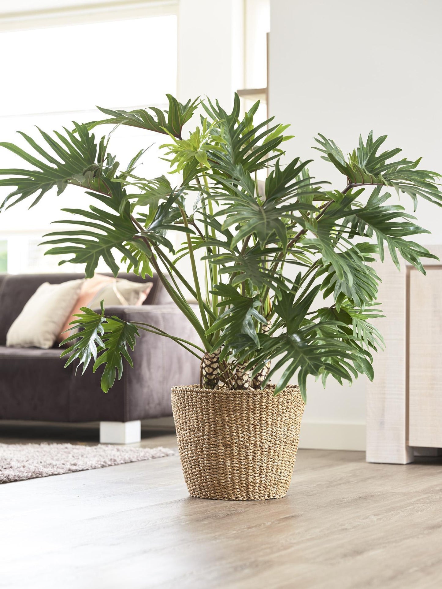 Mand Jip naturel - XL 37 cm