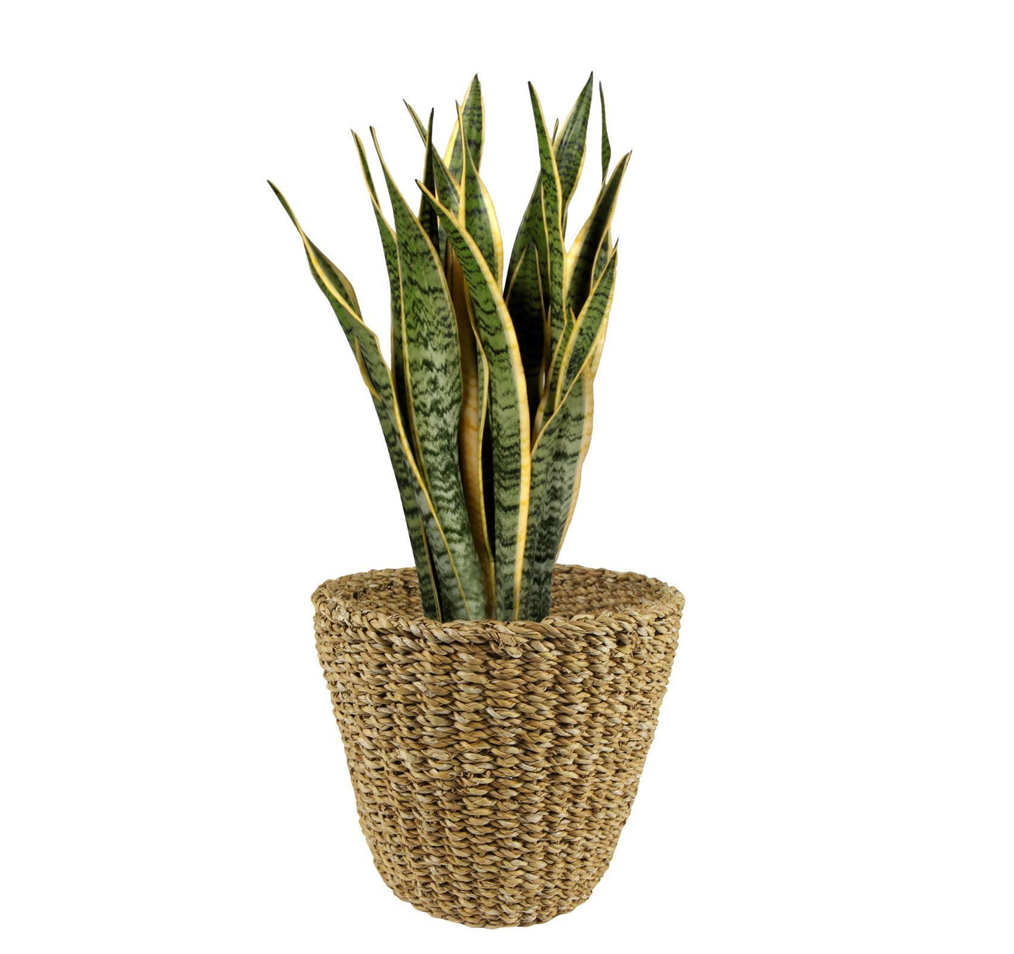 Mand Jip naturel - M 30 cm