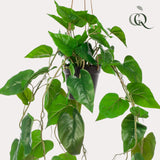 Kunstplant - Philodendron scandens - 80 cm