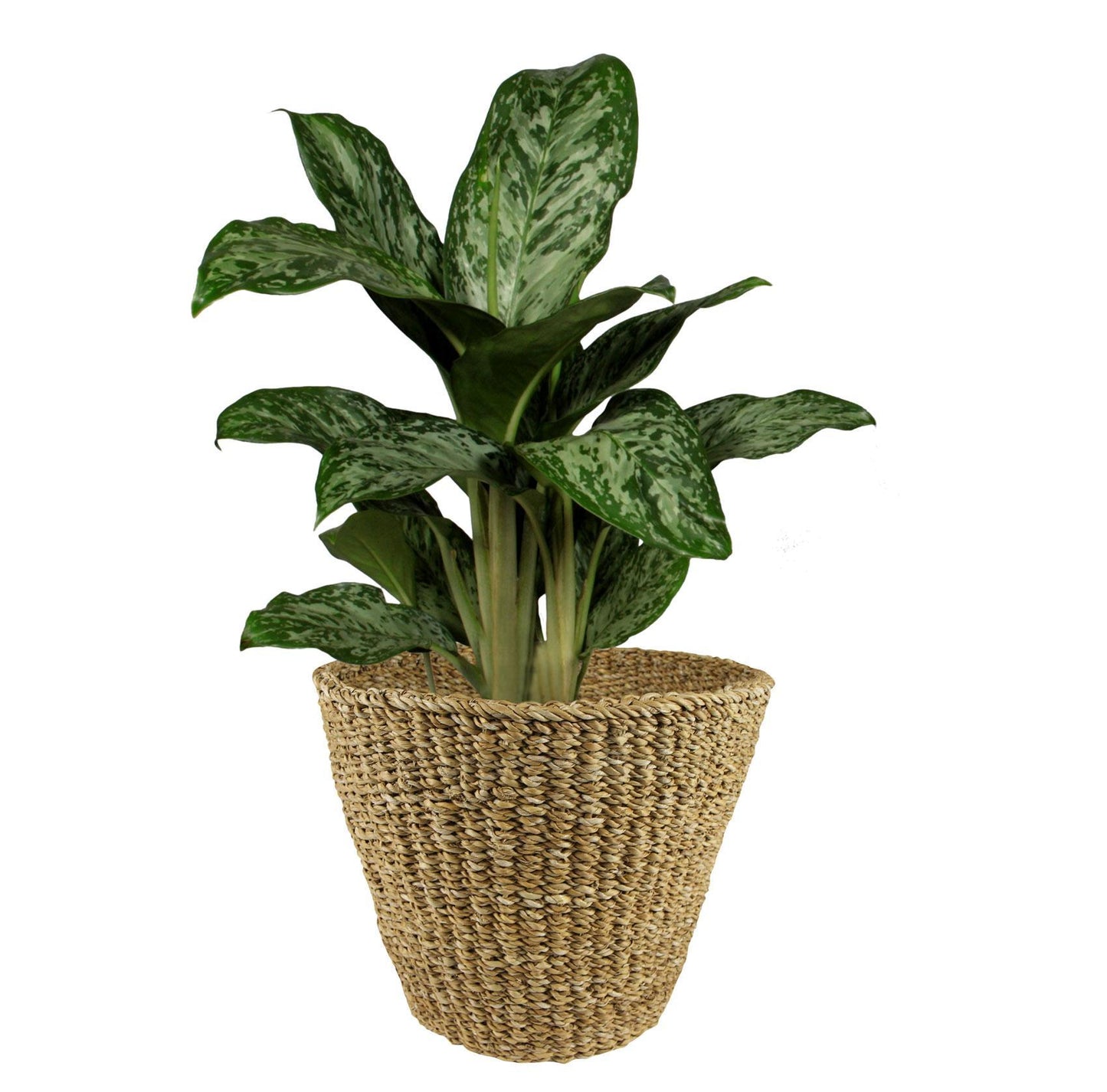 Mand Jip naturel - XL 37 cm
