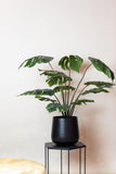 Kunstplant -  Monstera Deliciosa - 110 cm