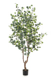 Kunstplant - Eucalyptus - Blauwe Gomboom - 180 cm