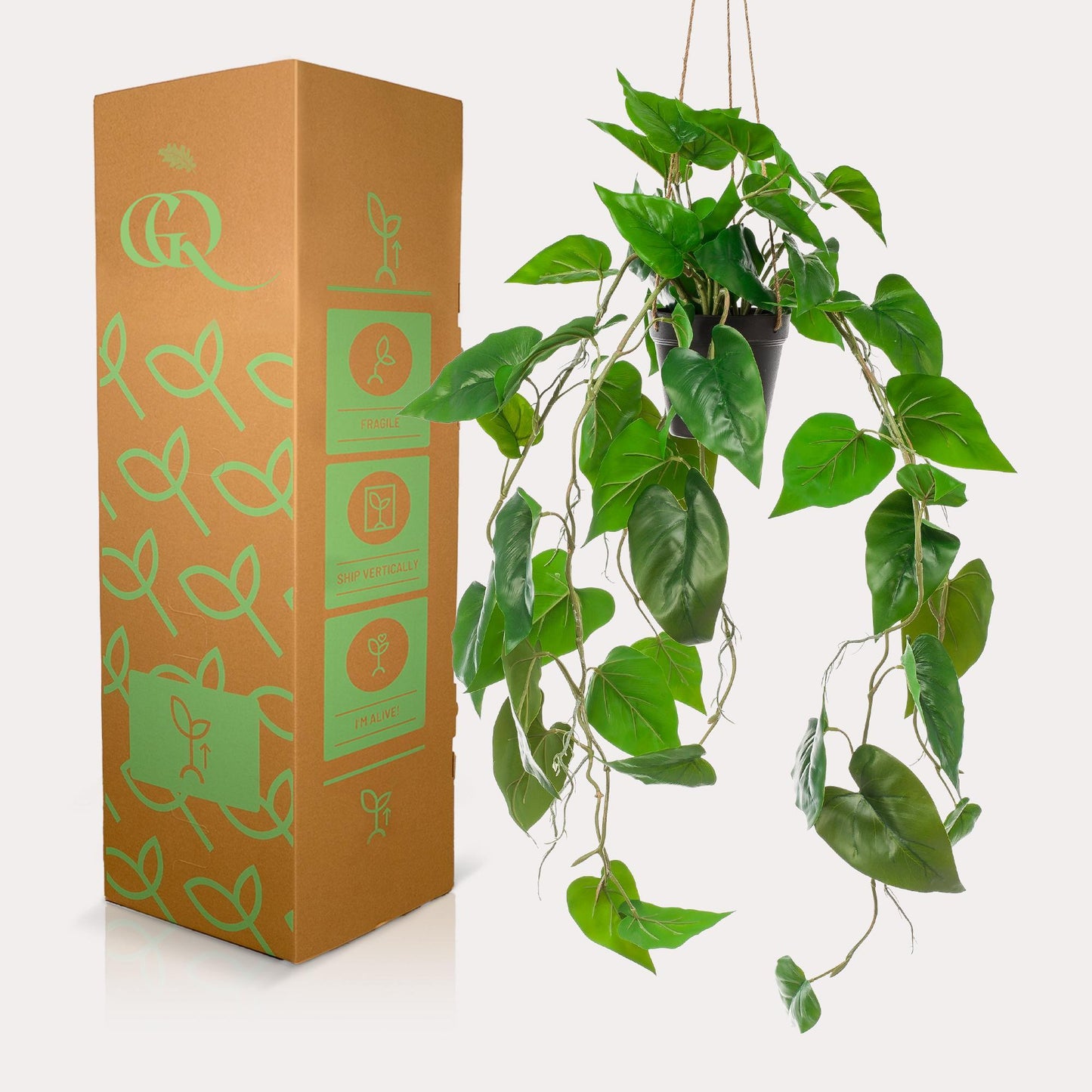 Kunstplant - Philodendron scandens - 80 cm